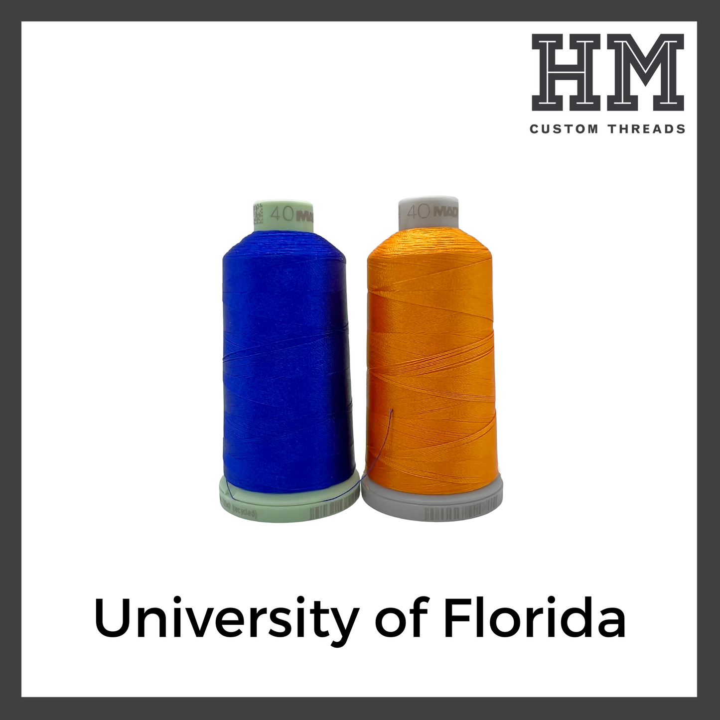 University of Florida